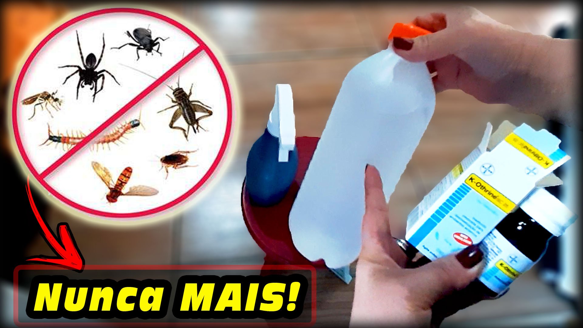 Como acabar com as baratas e os outros insetos da casa?