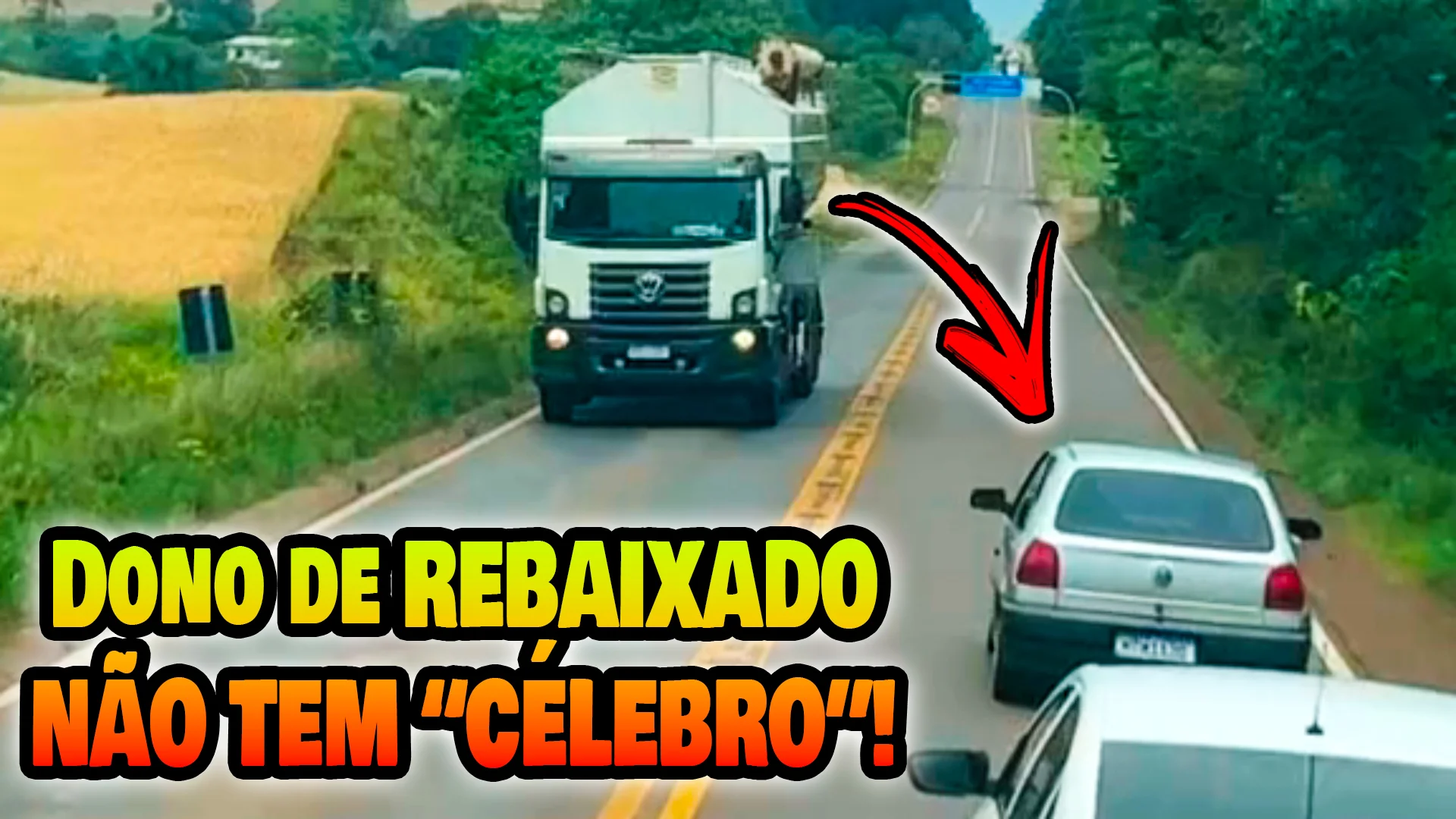 Opinião Sincera de um Caminhoneiro sobre o TEU REBAIXADO!